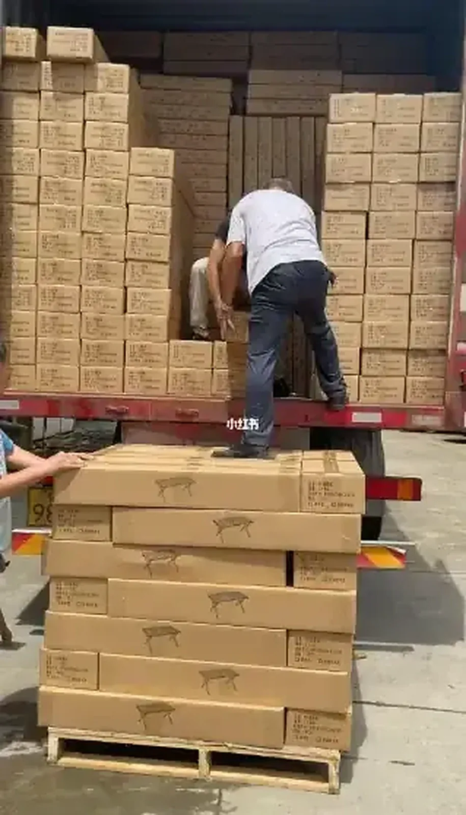 Workers loading cartons into a truck